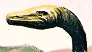 Loch Ness Monster Roar 👹 🔊