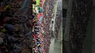 Monterrey Fans Amazing