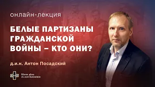 Белые партизаны Гражданской войны - кто они? Историк Антон Посадский