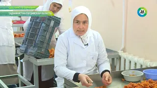 Сухофрукты Таджикистана – красно-желтые источники здоровья