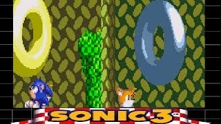 Sonic 3 & Knuckles - How to Get All Seven Super Emeralds on Mushroom Hill