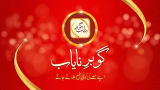 Gohar e Nayab Title | Gohar e Nayab Plus