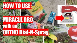 How to use Miracle Gro with ORTHO Dial N Spray