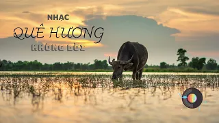 Nhạc quê hương không lời nghe để nhớ về nguồn cội