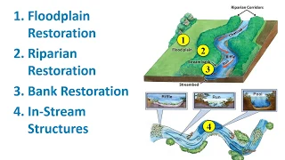 4.8 Stream and Floodplain Restoration Best Management Practices - Kentucky Watershed Academy