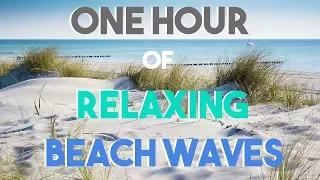 NO ADS || One Hour Relaxing Beach Waves || Soothing Sounds || Ocean Vacation