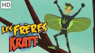 Les Frères Kratt - Le Lézard Volant