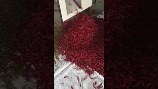 Chilli stem cutting machine in India - Rs. 3.5 Lakh, Call 9677111646