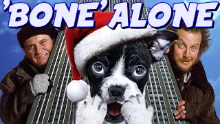 The HOME ALONE DOG SPIN-OFF We Don't Talk About.....