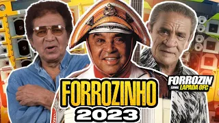 🔴SET FORROZINHO DOS CLASSICOS 2023🔥😎OS MELHORES DO SÃO JOÃO #luizpoderosochefão #nordeste