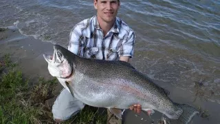 2008- 37 lb Rainbow Trout