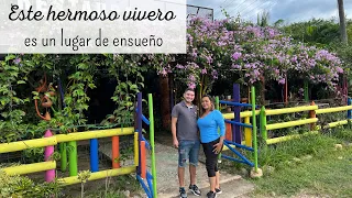 HERMOSO VIVERO se transformó en un restaurante - bar | LAS PLANTAS COMO PROTAGONISTAS