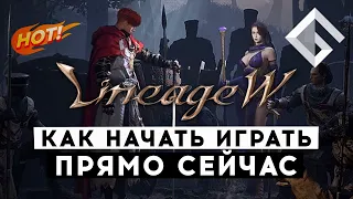 MMORPG LINEAGE W — КАК НАЧАТЬ ИГРАТЬ УЖЕ ПРЯМО СЕЙЧАС. РАЗБИРАЕМСЯ С УСТАНОВКОЙ НОВОЙ «ЛИНЕЙКИ»