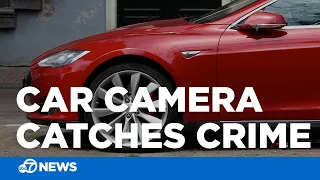 Tesla Model 3 Records Car Thief Mid Break-In