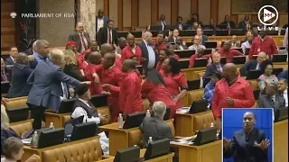 ‘Racist! Pay back the money!’ - Scuffle breaks out in parliament between DA and EFF