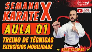 SEMANA KARATE X | Aula 01 - Técnicas principais de socos, defesas, chutes e exercícios de mobilidade