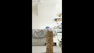 Bloom and Annabel  are playing   jenga Beanie boo fan