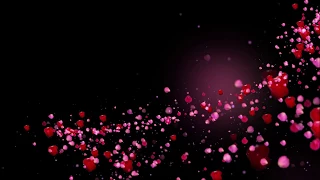 Romantic flying red rose flower petals love heart wedding animated background Hd