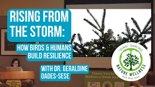 Dr. Geraldine Oades-Sese: Rising From The Storm - "Ding" Wellness Week Lecture 2023