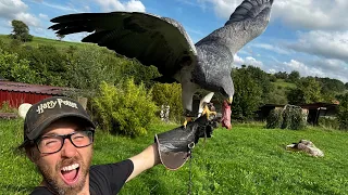 Die Woche, ein paar Vögel und ich 🦅🦉😊 Greifvogelwarte Feldatal