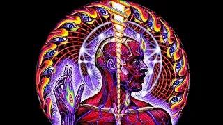 LSD Trip Report (Personal Story): 'The Brink of Insanity'