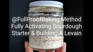 Activating Sourdough Starter & Building A Levain