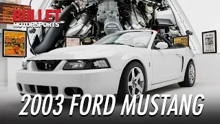 2003 Ford Mustang Cobra | [4K] | REVIEW SERIES | 'Ill Be Back'