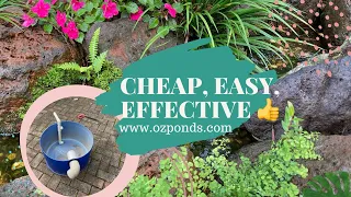 Cheap DIY pond filter | Solar powered pond & stream