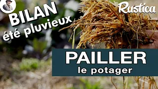 Pailler ou ne pas pailler au potager en été ?