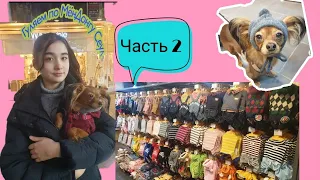 Мёндон шоппинг до пандемии/Одежда для собак/Myeongdong/Korea VLOG/