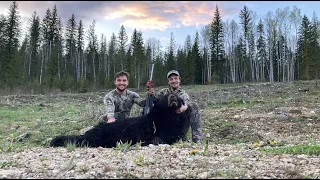 BC Spring Black Bear Spot and Stalk 2021