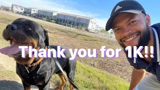 Vlog 61 | Thank You For 1k subs!! | Walking My Rottweiler