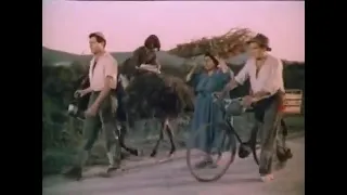 Дни любви Италия, Франция 1954г комедия
