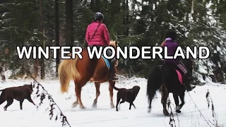 WINTER WONDERLAND | AUSRITT IM SCHNEE | Marina und die Ponys