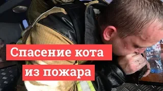 Спасение кота из пожара