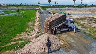 First Starting A New Project Bulldozer Komatsu D58 Push soil into field  with 5ton Trucks