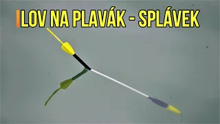 Lov rýb na splávek plavák 🤗 ZÁBERY a SÚBOJE 🎣🐋 Lov kapra a ryb na plavanou plávanú !