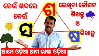 #3sa's ll ଶ,ଷ, ସର ବ୍ୟବହାର ll uses of 3 sa's