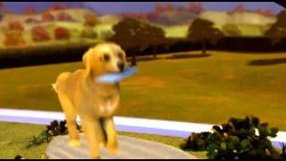 Barbie In A Princess Charm School - On Top Of The World.wmv