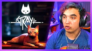 PASTY JUEGA STRAY | PARTE 1 🐱