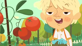 Flapacha | Passion tomate (S01E26) Épisode entier en HD