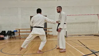 Infinite Karate