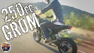 I rode a 250 GROM!!!