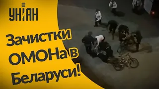 Зачистки ОМОНа в Беларуси