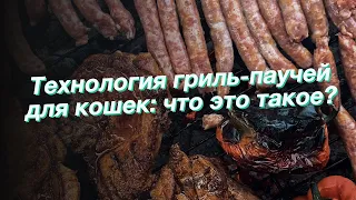 Технология гриль-паучей для кошек: что это такое?