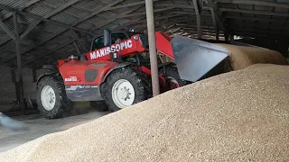 Manitou грузит пшеницу.