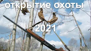 Супер открытие охоты на вальдшнепа 2021