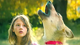 Girl Finds A Small Puppy And Makes Him Her Pet, But Later She Discovers That It Is A Wolf !?