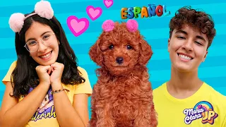 Maria Clara y JP reciben un nuevo perrito 🐶