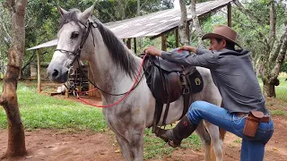 COMO ENSINAR SEU CAVALO Á NÃO SE MEXER NA HORA DE MONTAR. E PRINCIPAIS ERROS NA MONTARIA.